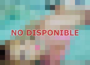trans en David
