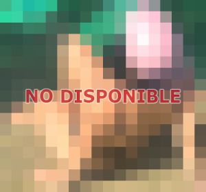 Selena 67592555, Escort en Avenida Perú