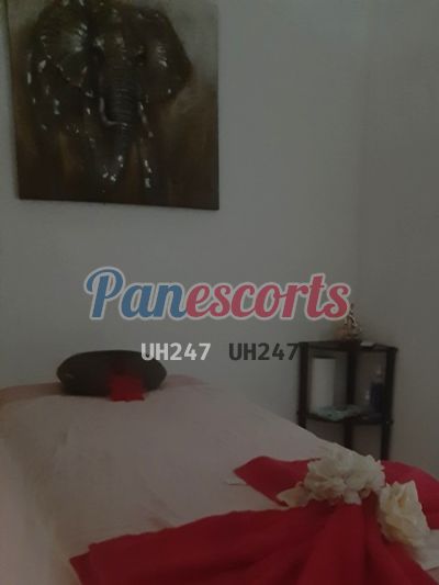 Masajista 66289267 - Puta en Obarrio