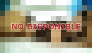 Martina 61396431, Puta en Vía España