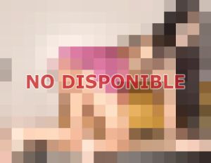 Aylin Valery 69783367, Travesti en Vía España