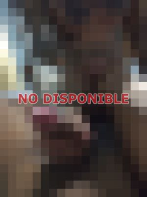 Yessica 62162817 - Travesti en Ciudad de Panamá