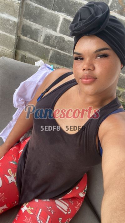 Vane, Travesti que hace videollamadas y chat