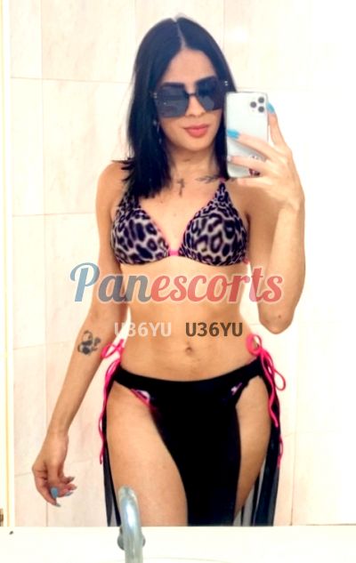 Camila Sofia, Travesti en El Cangrejo (Ciudad de Panamá)