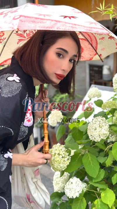 Princesa Árabe 68720332, Masajista en San Francisco (Ciudad de Panamá)