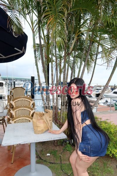 Alana Sofía 65771431, escort en Ciudad de Panamá