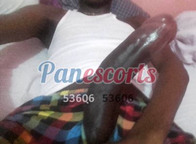 Damian 60972797, shemale en San Mateo (David)