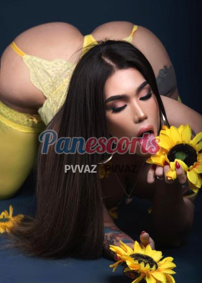 Alexandra 66119685, trans en Vía Porras (Ciudad de Panamá)