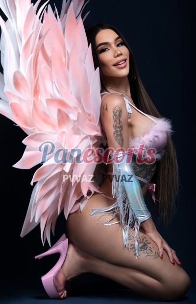 Alexandra 66119685, travesti en Vía Porras (Ciudad de Panamá)