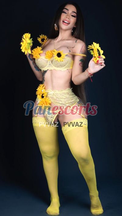 Alexandra 66119685, trans en Vía Porras (Ciudad de Panamá)