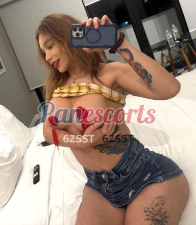 Agatha de Lux 66119685, transexual en Vía Porras (Ciudad de Panamá)